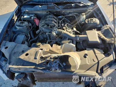 Zdjęcie 11 z 12 samochodu: 2014 FORD MUSTANG VIN:1ZVBP8AM8E5274879 - miniatura