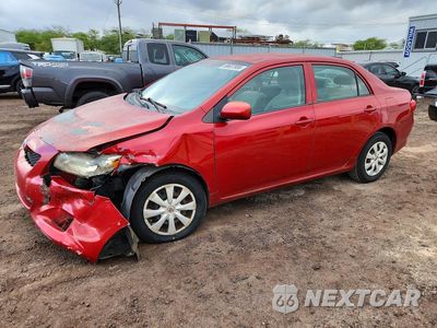2010 TOYOTA COROLLA LE 1NXBU4EE0AZ202447 - główne zdjęcie licytacji z USA - miniatura