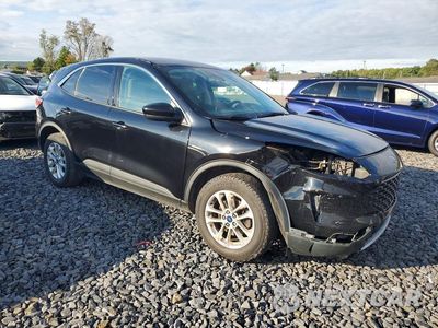 Czwarte zdjęcie samochodu z boku: 2021 FORD ESCAPE SE VIN:1FMCU9G6XMUA29239 - miniatura