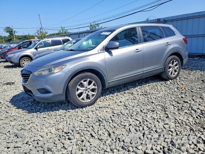 2013 MAZDA CX-9 SPORT JM3TB3BV5D0404779 - główne zdjęcie licytacji z USA - miniatura