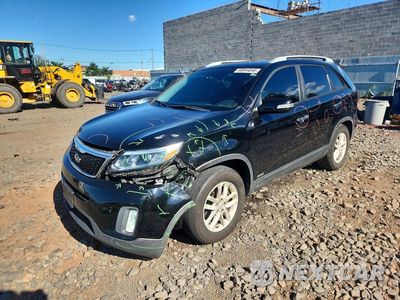 2014 KIA SORENTO LX 5XYKTCA64EG520420 - główne zdjęcie licytacji z USA - miniatura