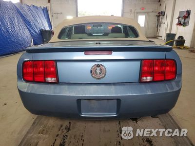 Zdjęcie 6 z 12 samochodu: 2007 FORD MUSTANG VIN:1ZVFT84N075310813 - miniatura
