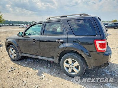 Drugie zdjęcie samochodu z przodu: 2011 FORD ESCAPE XLT VIN:1FMCU0DG1BKC61083 - miniatura