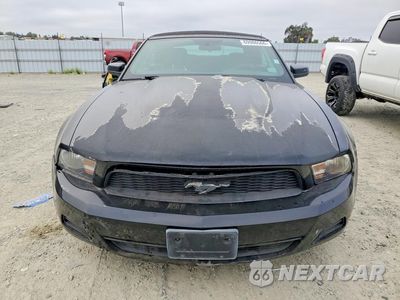 Piąte zdjęcie samochodu w środku: 2010 FORD MUSTANG VIN:1ZVBP8EN9A5122543 - miniatura