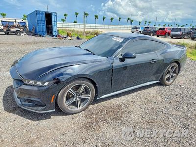 2024 FORD MUSTANG 1FA6P8TH1R5123091 - główne zdjęcie licytacji z USA - miniatura