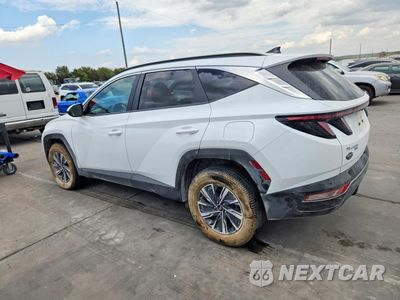 Drugie zdjęcie samochodu z przodu: 2023 HYUNDAI TUCSON BLUE VIN:KM8JBCA1XPU117073 - miniatura