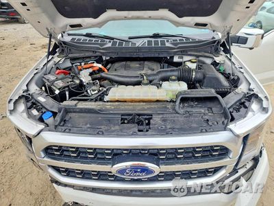 Zdjęcie 11 z 12 samochodu: 2023 FORD F150 SUPERCREW VIN:1FTFW1EDXPFD27412 - miniatura