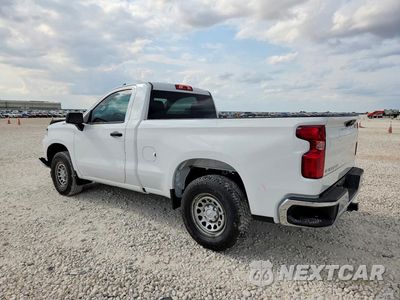 Drugie zdjęcie samochodu z przodu: 2025 CHEVROLET SILVERADO C1500 VIN:3GCNAAEK8SG103619 - miniatura