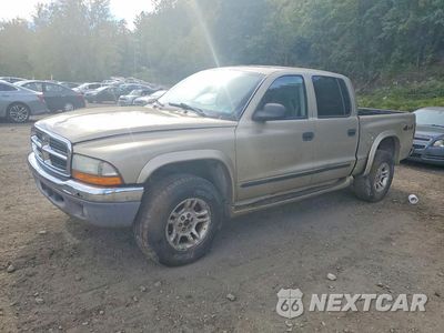 2004 DODGE DAKOTA 1D7HG48N14S504871 - główne zdjęcie licytacji z USA - miniatura