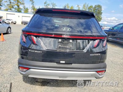 Zdjęcie 6 z 13 samochodu: 2025 HYUNDAI TUCSON LIMITED VIN:KM8JEDD15SU255590 - miniatura