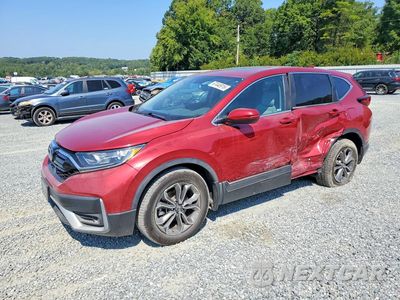 2020 HONDA CR-V EXL 5J6RW1H85LA016757 - główne zdjęcie licytacji z USA - miniatura