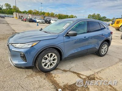 2024 FORD ESCAPE ACTIVE 1FMCU0GN0RUB43244 - główne zdjęcie licytacji z USA - miniatura