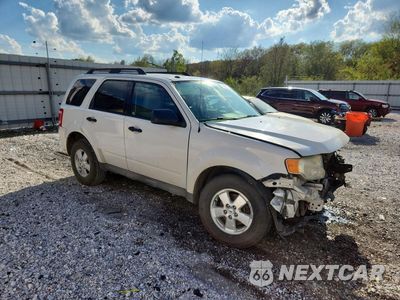Czwarte zdjęcie samochodu z boku: 2009 FORD ESCAPE XLT VIN:1FMCU03G39KB39613 - miniatura