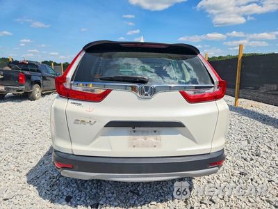 Zdjęcie 6 z 12 samochodu: 2017 HONDA CR-V LX VIN:5J6RW5H39HL002741 - miniatura