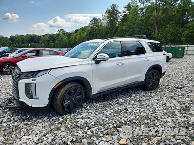 2025 HYUNDAI PALISADE XRT KM8R34GE3SU891979 - główne zdjęcie licytacji z USA - miniatura