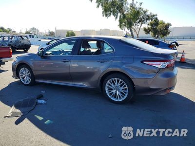 Drugie zdjęcie samochodu z przodu: 2020 TOYOTA CAMRY XLE VIN:4T1F31AKXLU011524 - miniatura