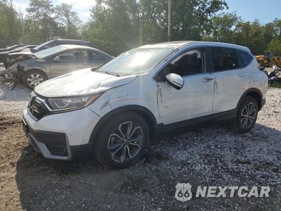 2020 HONDA CR-V EXL 7FARW2H82LE016836 - główne zdjęcie licytacji z USA - miniatura