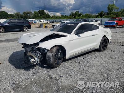 2021 FORD MUSTANG 1FA6P8TH9M5147681 - główne zdjęcie licytacji z USA - miniatura