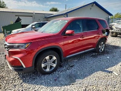 2025 HONDA PILOT EXL 5FNYG1H45SB085806 - główne zdjęcie licytacji z USA - miniatura