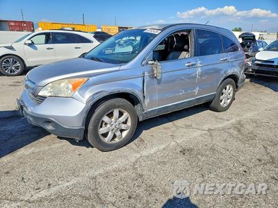 2008 HONDA CR-V EXL JHLRE38728C058538 - główne zdjęcie licytacji z USA - miniatura