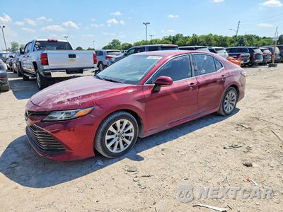 2019 TOYOTA CAMRY LE 4T1B11HK2KU827944 - główne zdjęcie licytacji z USA - miniatura