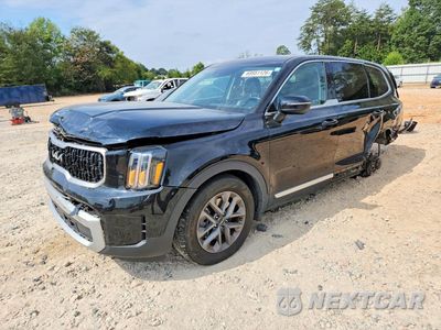 2024 KIA TELLURIDE LX 5XYP24GC0RG496862 - główne zdjęcie licytacji z USA - miniatura