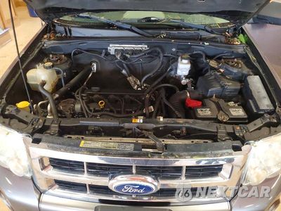 Zdjęcie 12 z 13 samochodu: 2010 FORD ESCAPE XLT VIN:1FMCU9D77AKC84080 - miniatura
