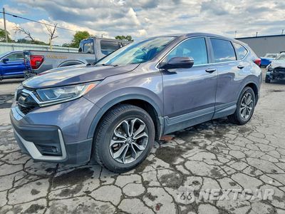 2020 HONDA CR-V EXL 5J6RW2H86LL024439 - główne zdjęcie licytacji z USA - miniatura