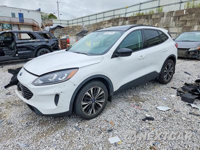 2021 FORD ESCAPE SE 1FMCU9G69MUB06974 - główne zdjęcie licytacji z USA - miniatura