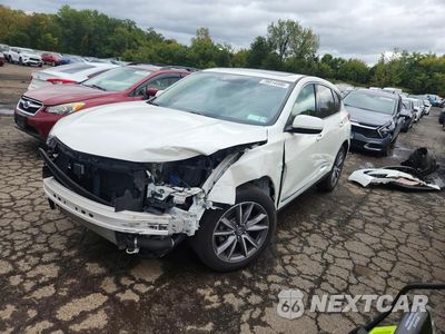 2019 ACURA RDX TECHNOLOGY 5J8TC2H51KL026044 - główne zdjęcie licytacji z USA - miniatura