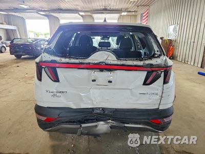 Zdjęcie 6 z 12 samochodu: 2023 HYUNDAI TUCSON LIMITED VIN:KM8JECA17PU106779 - miniatura