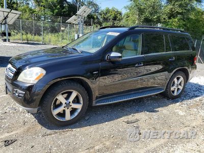 2009 MERCEDES-BENZ GL 4JGBF25EX9A497584 - główne zdjęcie licytacji z USA - miniatura