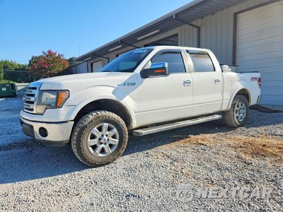 2013 FORD F150 SUPERCREW 1FTFW1EF7DKE80639 - główne zdjęcie licytacji z USA - miniatura