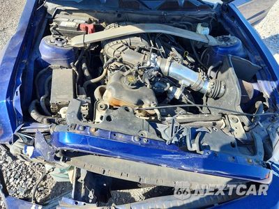 Zdjęcie 11 z 12 samochodu: 2013 FORD MUSTANG VIN:1ZVBP8AM7D5207334 - miniatura