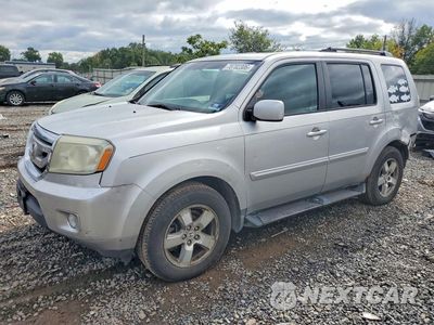 2010 HONDA PILOT EXL 5FNYF4H57AB020886 - główne zdjęcie licytacji z USA - miniatura
