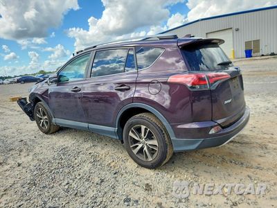Drugie zdjęcie samochodu z przodu: 2016 TOYOTA RAV4 XLE VIN:2T3WFREV2GW297439 - miniatura