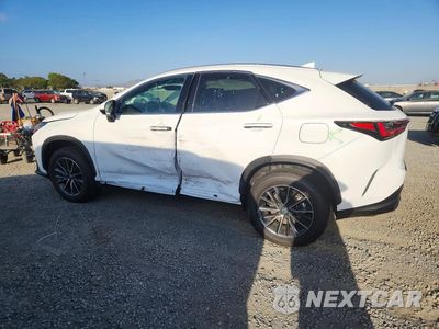 Drugie zdjęcie samochodu z przodu: 2026 LEXUS NX 350H PREMIUM VIN:2T2GKCEZ5TC061738 - miniatura