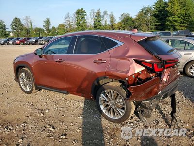 Drugie zdjęcie samochodu z przodu: 2026 LEXUS NX 350 LUXURY VIN:2T2HGCEZ2TC107208 - miniatura