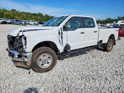 2024 FORD F350 SUPER DUTY 1FT8W3BT0REC36917 - główne zdjęcie licytacji z USA - miniatura