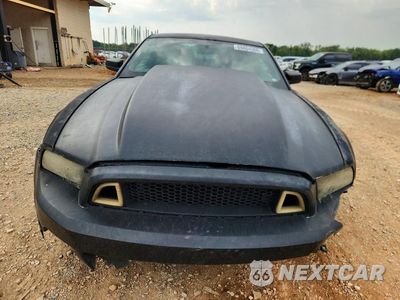 Piąte zdjęcie samochodu w środku: 2014 FORD MUSTANG VIN:1ZVBP8AMXE5290260 - miniatura