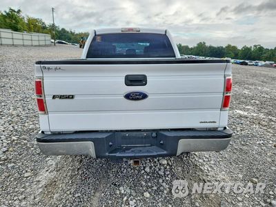 Zdjęcie 6 z 13 samochodu: 2014 FORD F150 SUPERCREW VIN:1FTEW1CM0EKF18968 - miniatura
