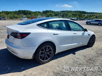 Trzecie zdjęcie samochodu z tyłu: 2023 TESLA MODEL 3 VIN:5YJ3E1EA6PF382424 - miniatura