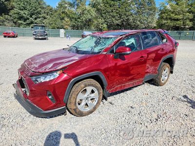2021 TOYOTA RAV4 XLE 2T3P1RFV7MW231594 - główne zdjęcie licytacji z USA - miniatura