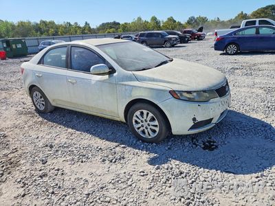 Czwarte zdjęcie samochodu z boku: 2013 KIA FORTE LX VIN:KNAFT4A28D5673360 - miniatura