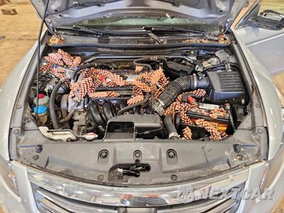 Zdjęcie 11 z 12 samochodu: 2012 HONDA ACCORD EX VIN:1HGCP2F72CA067918 - miniatura