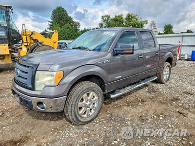 2013 FORD F150 SUPERCREW 1FTFW1ET6DKE15142 - główne zdjęcie licytacji z USA - miniatura