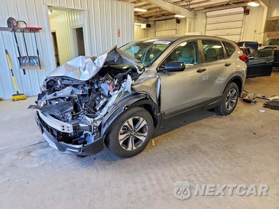 2019 HONDA CR-V LX 2HKRW6H31KH227999 - główne zdjęcie licytacji z USA - miniatura