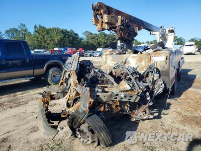 2024 FORD F450 SUPER DUTY 1FDUF4GN5RDA35188 - główne zdjęcie licytacji z USA - miniatura