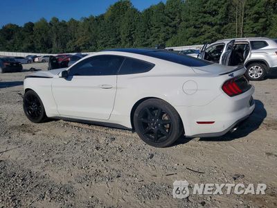 Drugie zdjęcie samochodu z przodu: 2018 FORD MUSTANG VIN:1FA6P8TH8J5158814 - miniatura