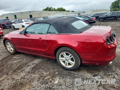Drugie zdjęcie samochodu z przodu: 2014 FORD MUSTANG VIN:1ZVBP8EM8E5295693 - miniatura